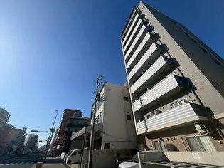 エヌエムキャトフヴァンユイットの画像