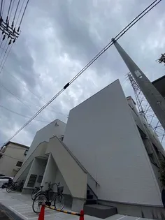 ALBERO ALTOの画像