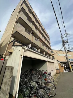 ジオナ大和田の画像