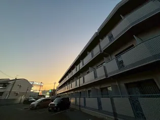 イトーミ グランデの画像