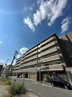 ラフィーネフォレスタの画像