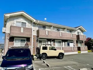 プラシードの画像