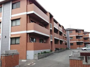 ハイツ室川1の画像