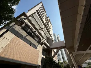 ピアントレの画像