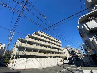 メゾン・ド・エミュウ【4階】の外観