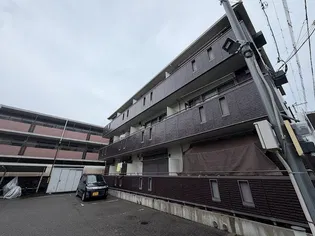 サザングレイスの画像