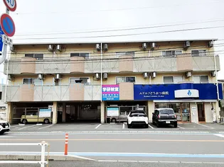 アイユール21の画像