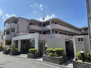 エトワールの画像