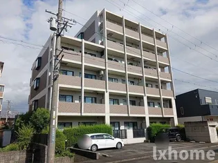 コスモスシンコの画像