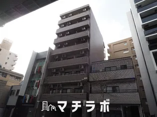 ヒルズ花の木の画像