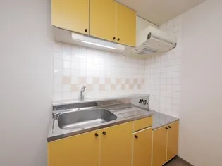 ノースタウン月寒【405号室】のキッチン