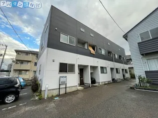 PINE CONEの画像