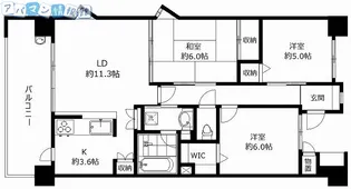 ダイアパレス川端町【1008号室】の間取り