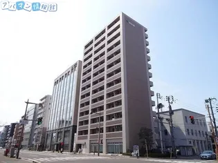 グレイスハイツ東中通タワー【8階】の外観