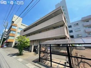 ベレオ笹口の画像