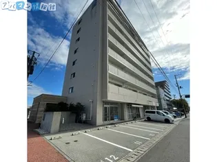 フェリシア鐙の画像