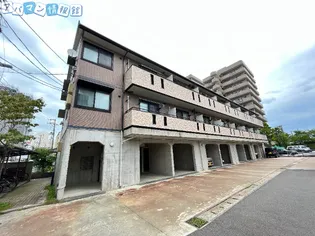 ライトリバーの画像