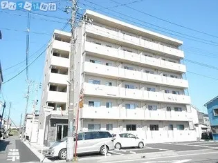 フォレスト6の画像