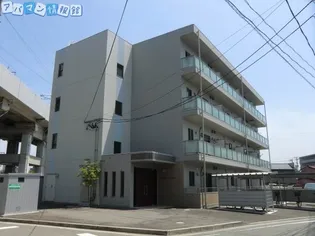 セリージャ デ トーアの画像