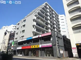 ヴェルドミール万代の画像