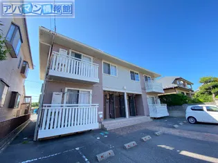 リミテッドの画像