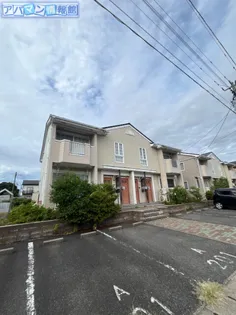 カメリアAの画像