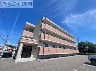 サラ ビエントの画像