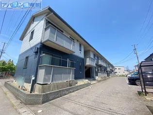 ピリカAの画像