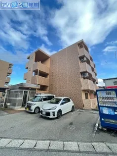 ウィステリアの画像