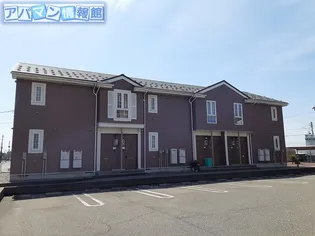 ボヌールCの画像