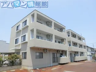 アーリーバードの画像