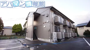 サフラン Bの画像