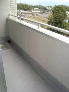 Finest Hill【105号室】のその他画像