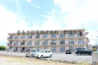 サンライズ金田の画像