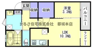 AVALON【Ⅱ-203号室】の間取り