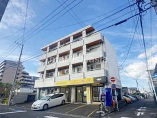 シーラカンスIBIZAの画像