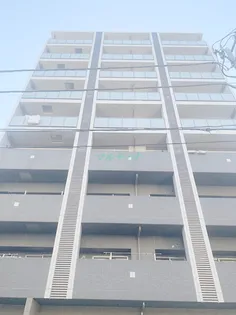 フェスタ元浅草の画像