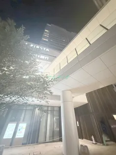 プラウドタワー小岩ファーストの画像