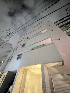 モンステラの画像