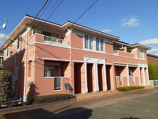 アヴニールAの画像