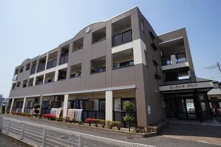 エレガンテ アルバの画像