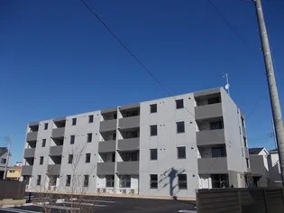 プリマヴェリーナの画像