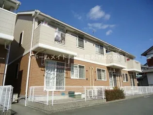 ドルフ サンフラワー IIの画像