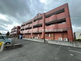 スターガーデン新栄【202号室】の外観