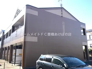 オレンジペコの画像