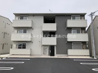 ティー アイビー Bの画像