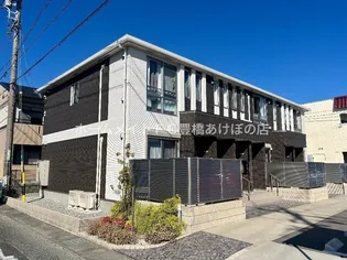 アマリリスの画像