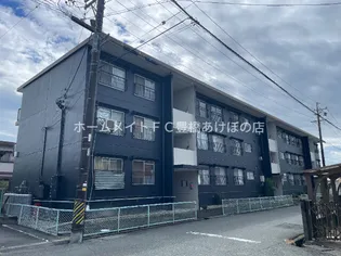 ぼたんの画像
