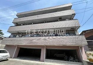 セレニール和合Ⅱの画像