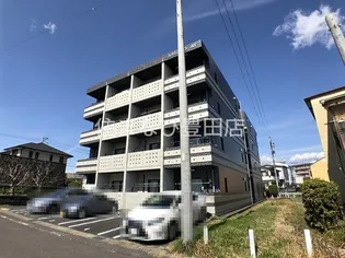 ANHELO AYの画像